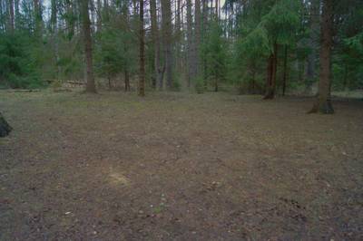 Место для костра Ноку, продолжение. Noku lõkkekoht.