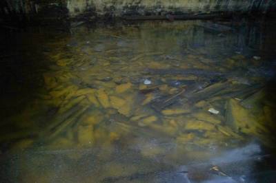 Тоннельные погреба в Астангу