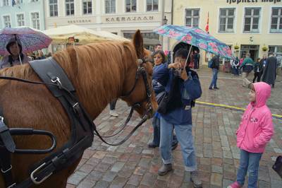 Таллинн, дни старого города