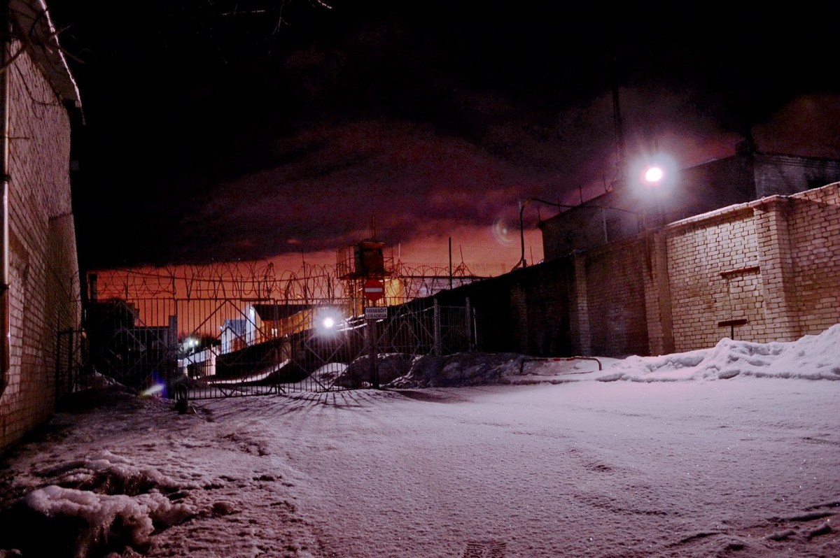  Фотографии от pixelzz. 