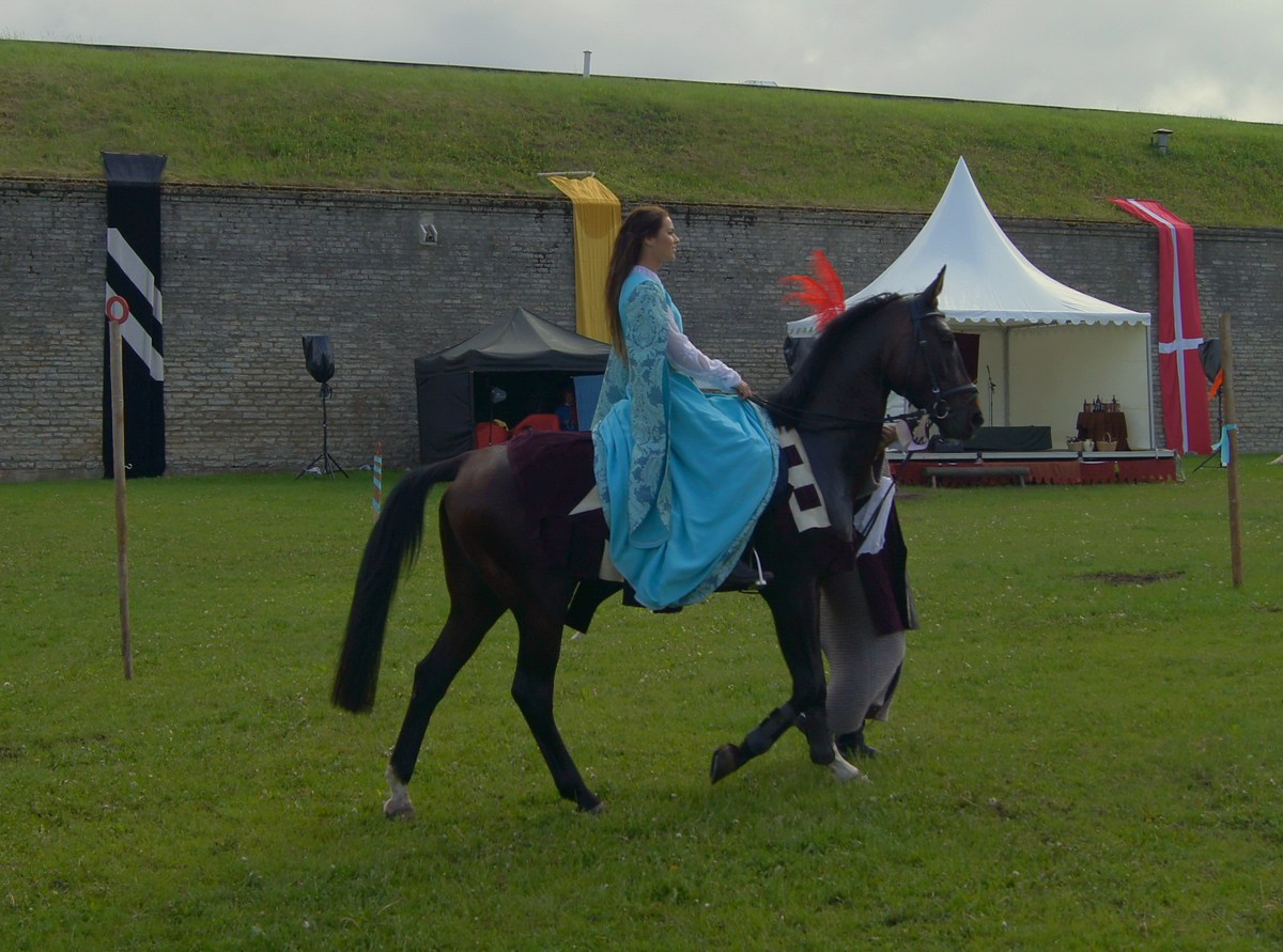  Рыцари на днях старого города.