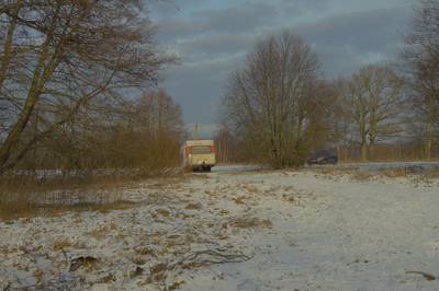 Зимняя прогулка