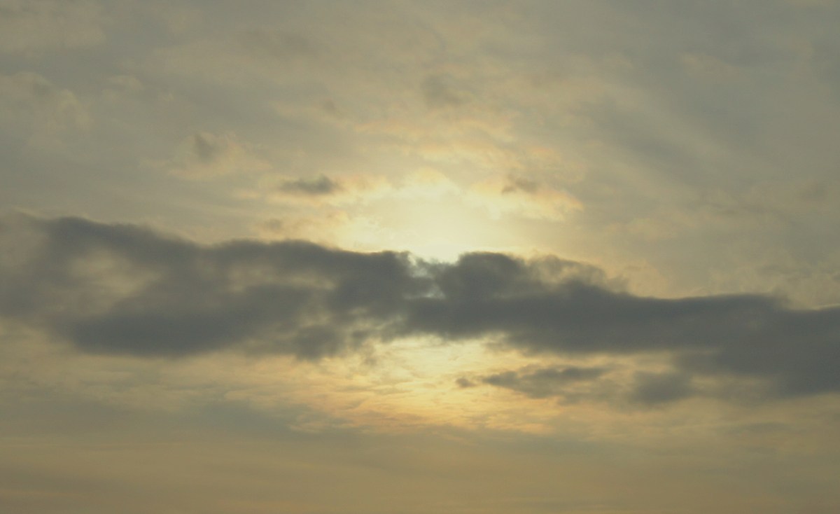  Зимняя прогулка.