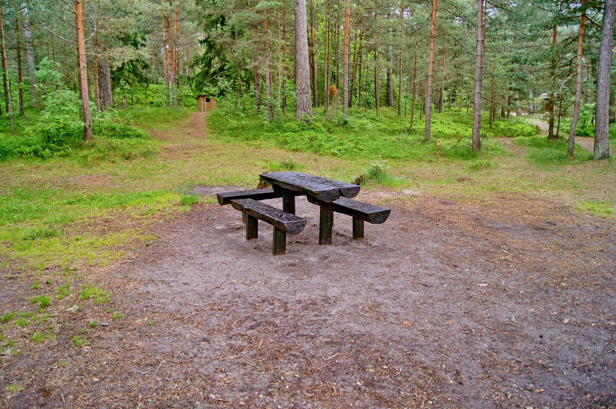  Пикниковое место Vääna-Jõesuu.