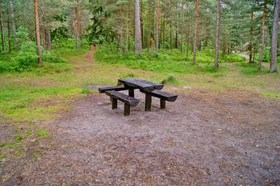 Пикниковое место Vääna-Jõesuu