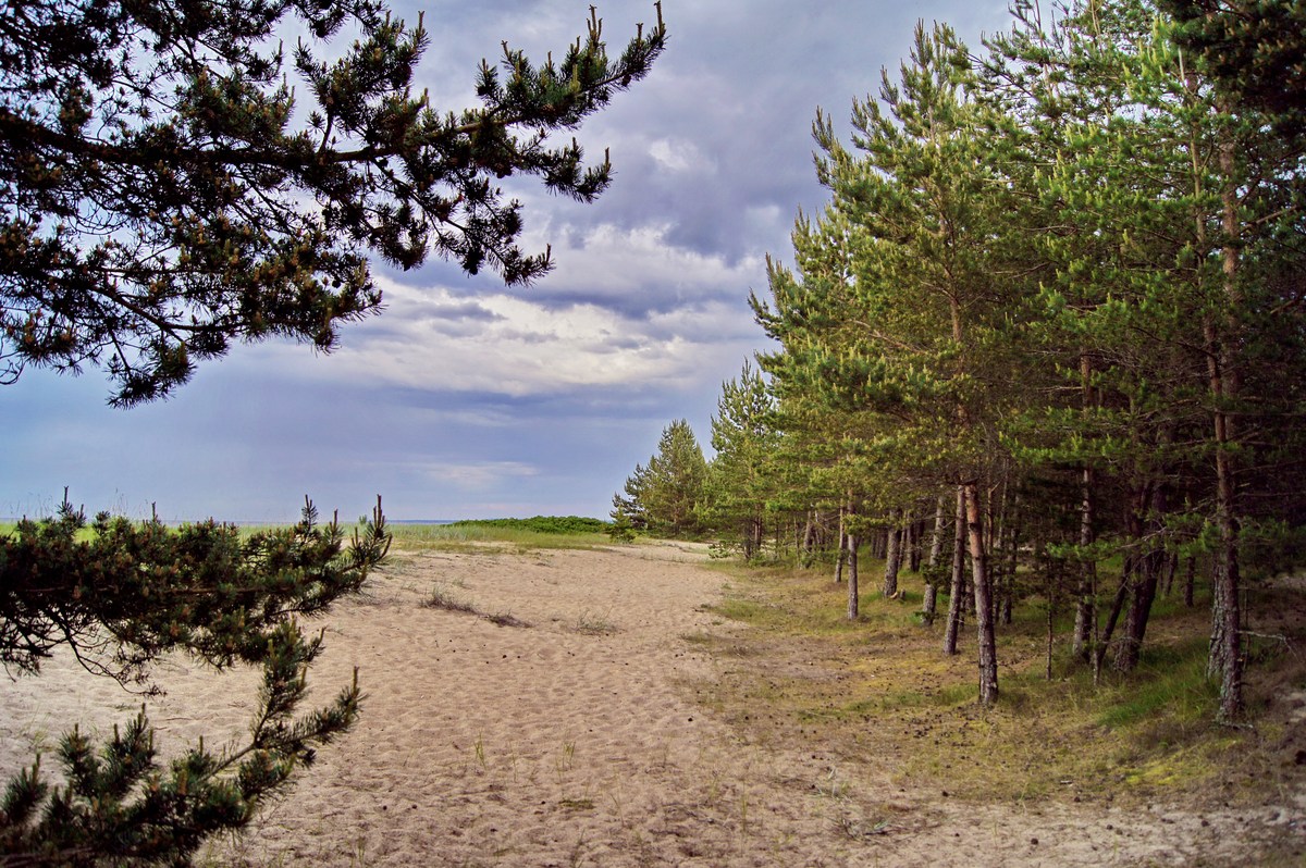  Пикниковое место Meremõisa telkimisala.