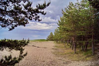 Пикниковое место Meremõisa telkimisala.