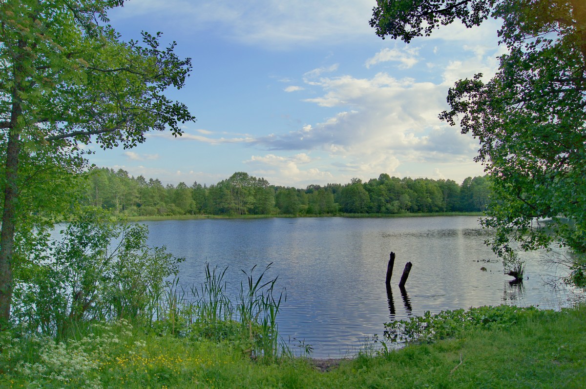  Пикниковое место, озеро соодаярв. Soodajärv.