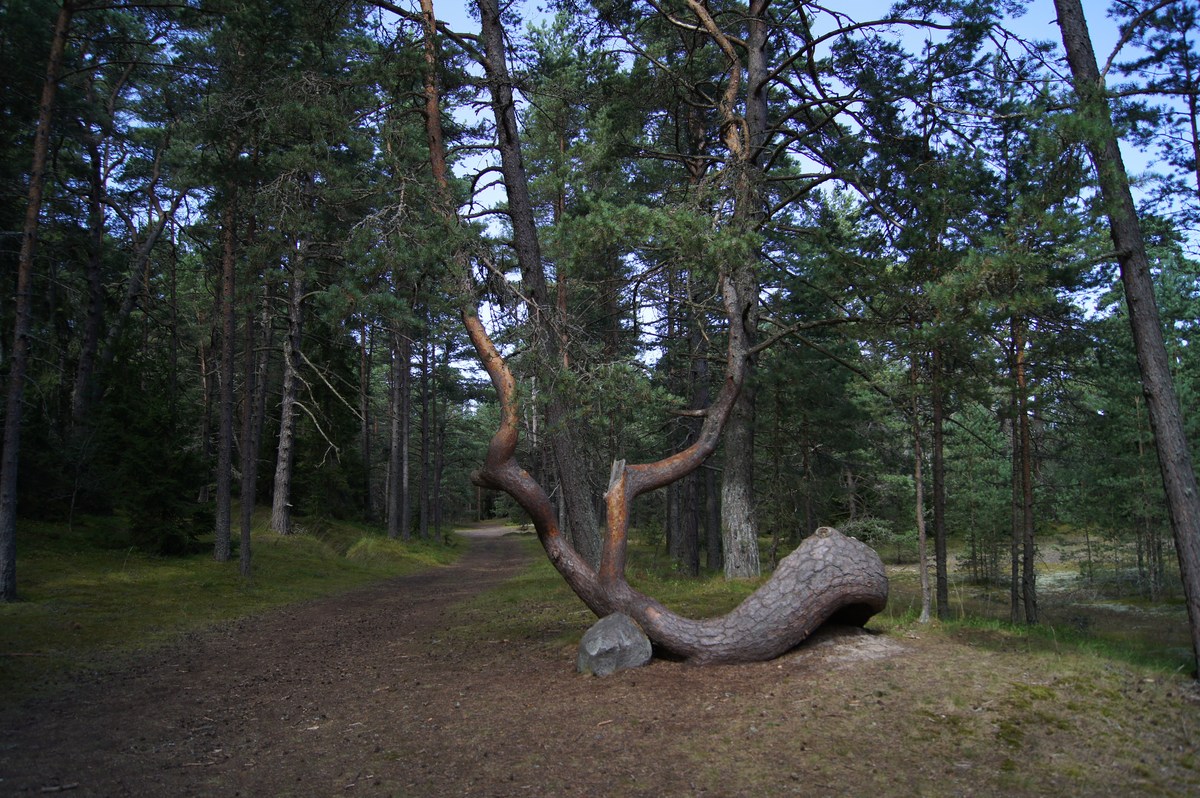  Остров Аэгна, Aegna.