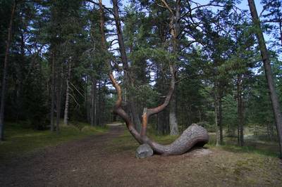 Остров Аэгна, Aegna.