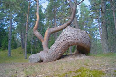 Остров Аэгна, Aegna.