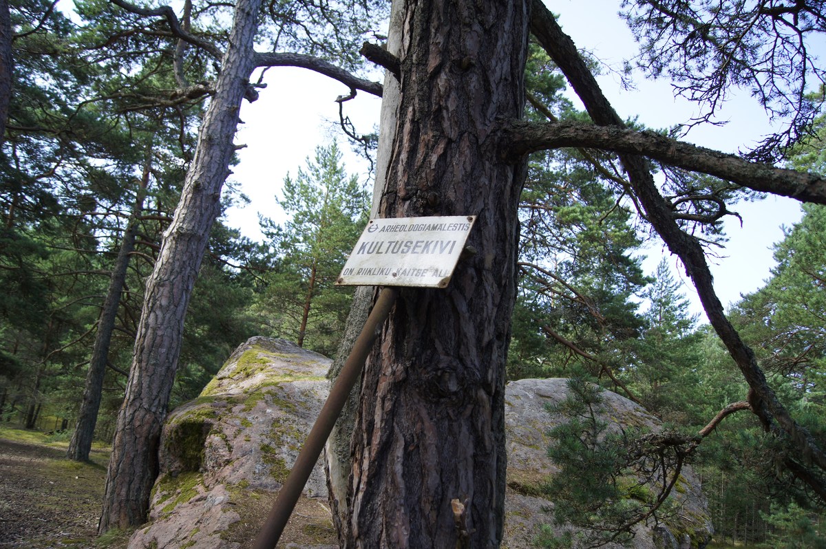 Большой камень. Остров Аэгна, Aegna.