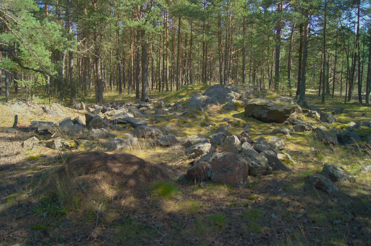  Остров Аэгна, Aegna.