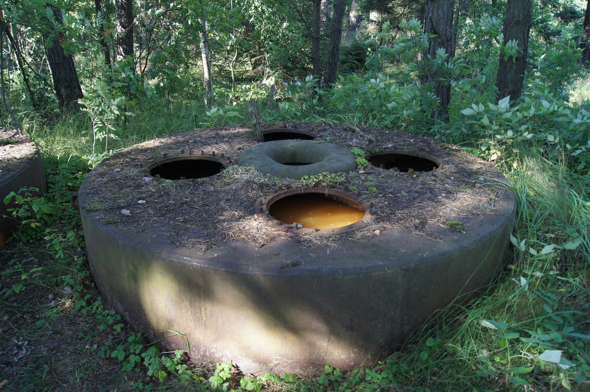  Остров Аэгна, Aegna.