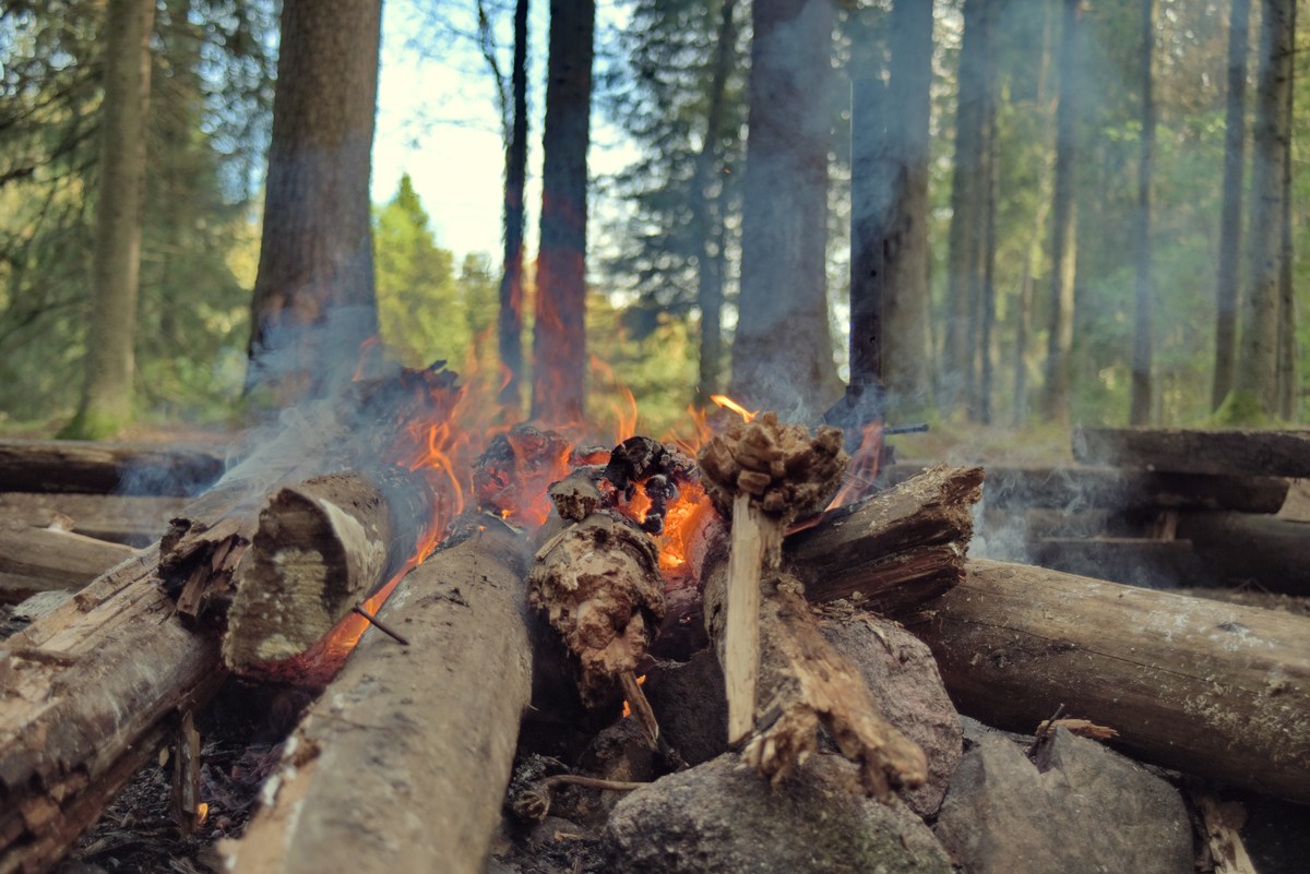 Костёр.  Закрытие сезона, костровое место лесных братьев (metsavenna lõkkekoht).