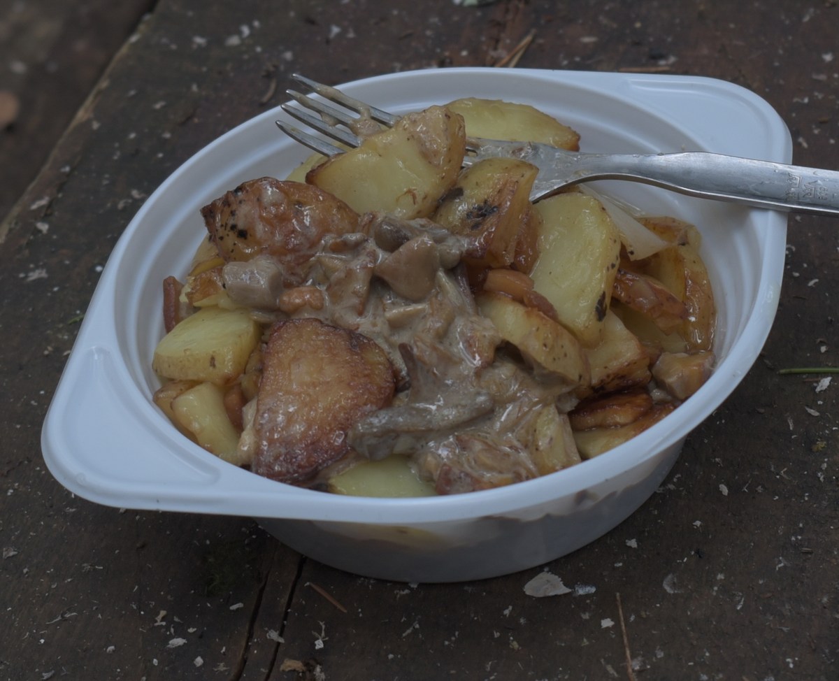  Закрытие сезона, костровое место лесных братьев (metsavenna lõkkekoht).