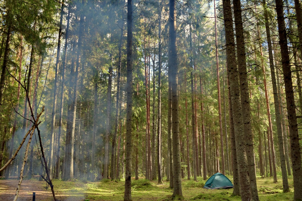  Закрытие сезона, костровое место лесных братьев (metsavenna lõkkekoht).
