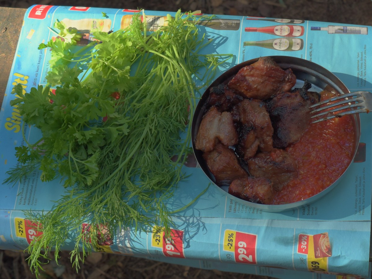 Шашлык. Закрытие сезона, костровое место лесных братьев (metsavenna lõkkekoht).