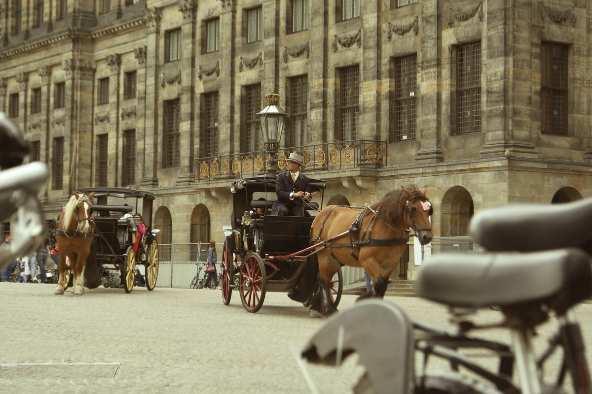  Фотографии от pixelzz. 