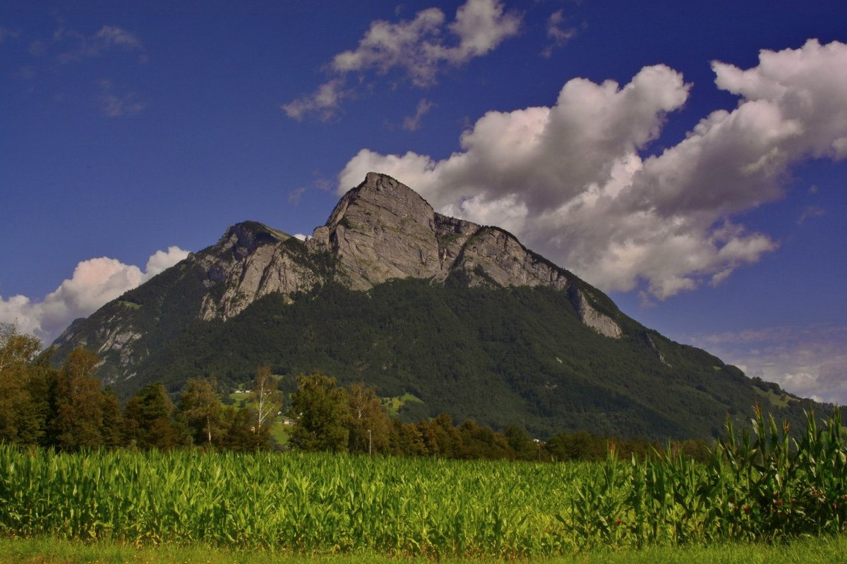  Фотографии от pixelzz. 