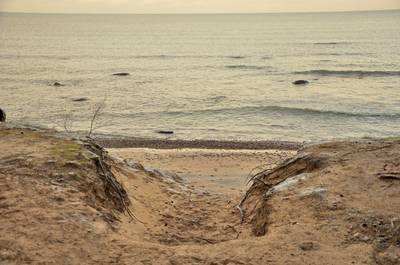 Новый год на природе, Палдиски