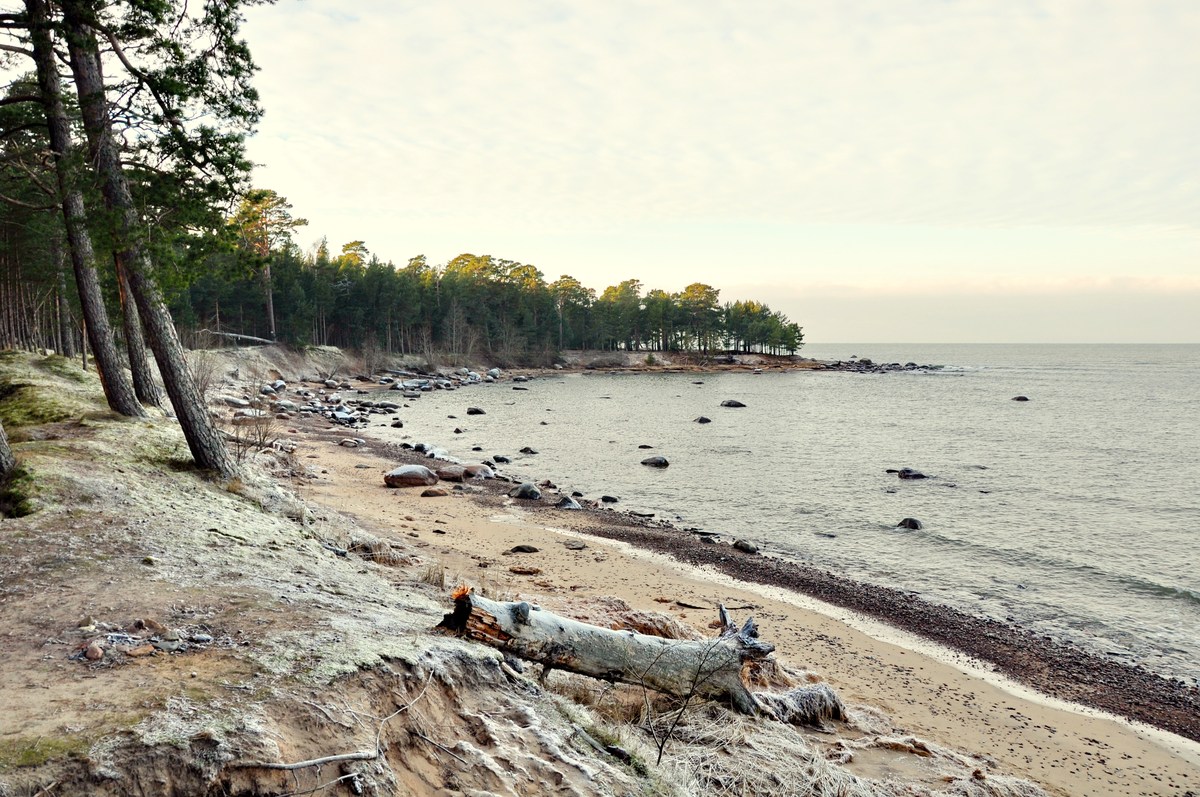 Берег. Новый год на природе, Палдиски.