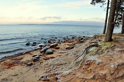 Новый год на природе, Палдиски