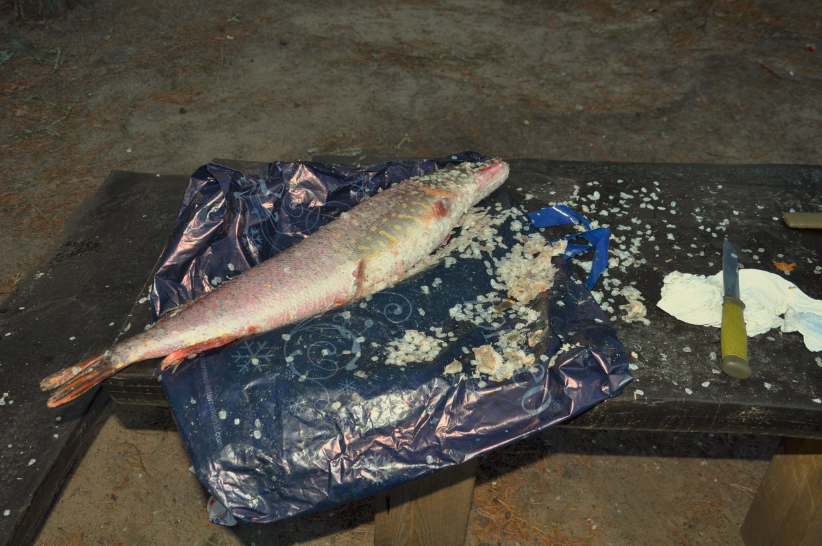 Щука. Новый год на природе, Палдиски.