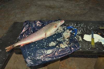 Новый год на природе, Палдиски