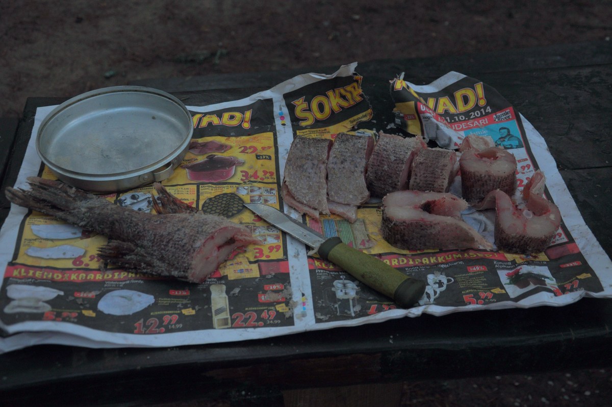 Щука. Новый год на природе, Палдиски.