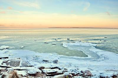 Новый год на природе, Палдиски