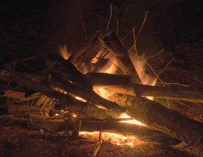 Новый год на природе, Палдиски