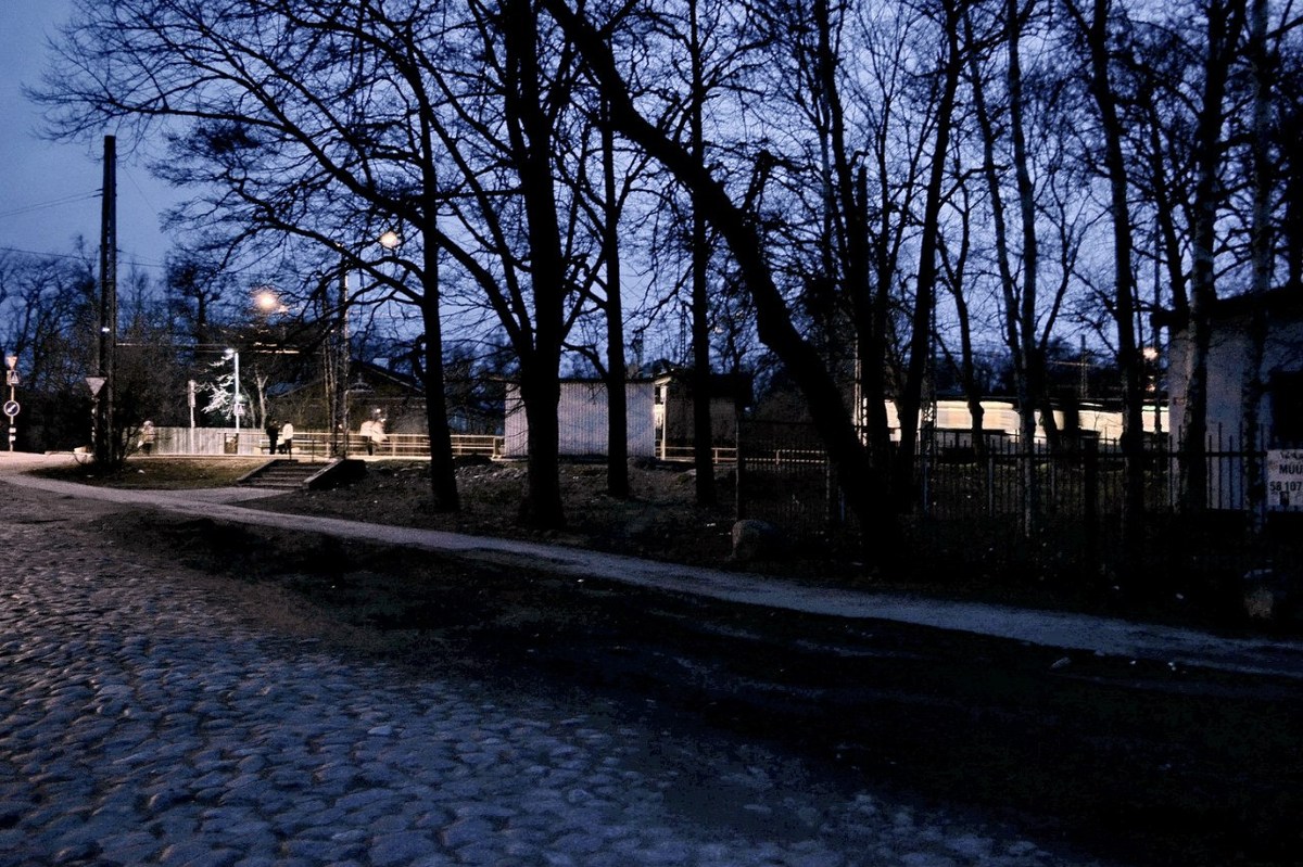  Фотографии от pixelzz. 