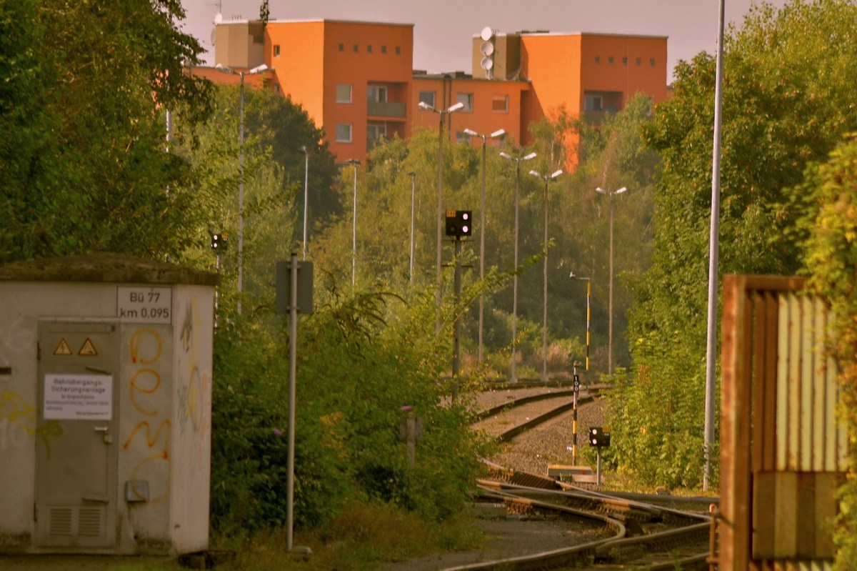  Фотографии от pixelzz. 