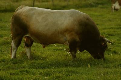 Фотографии от pixelzz