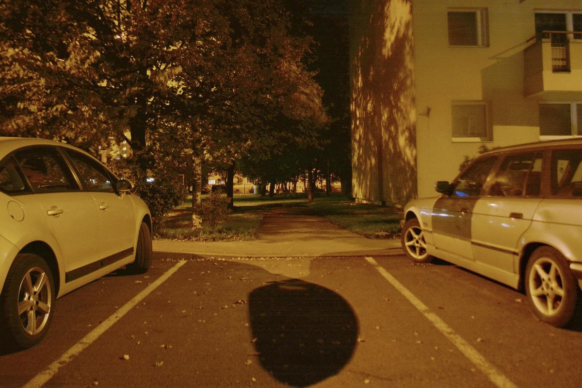  Фотографии от pixelzz. 