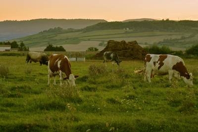 Фотографии от pixelzz