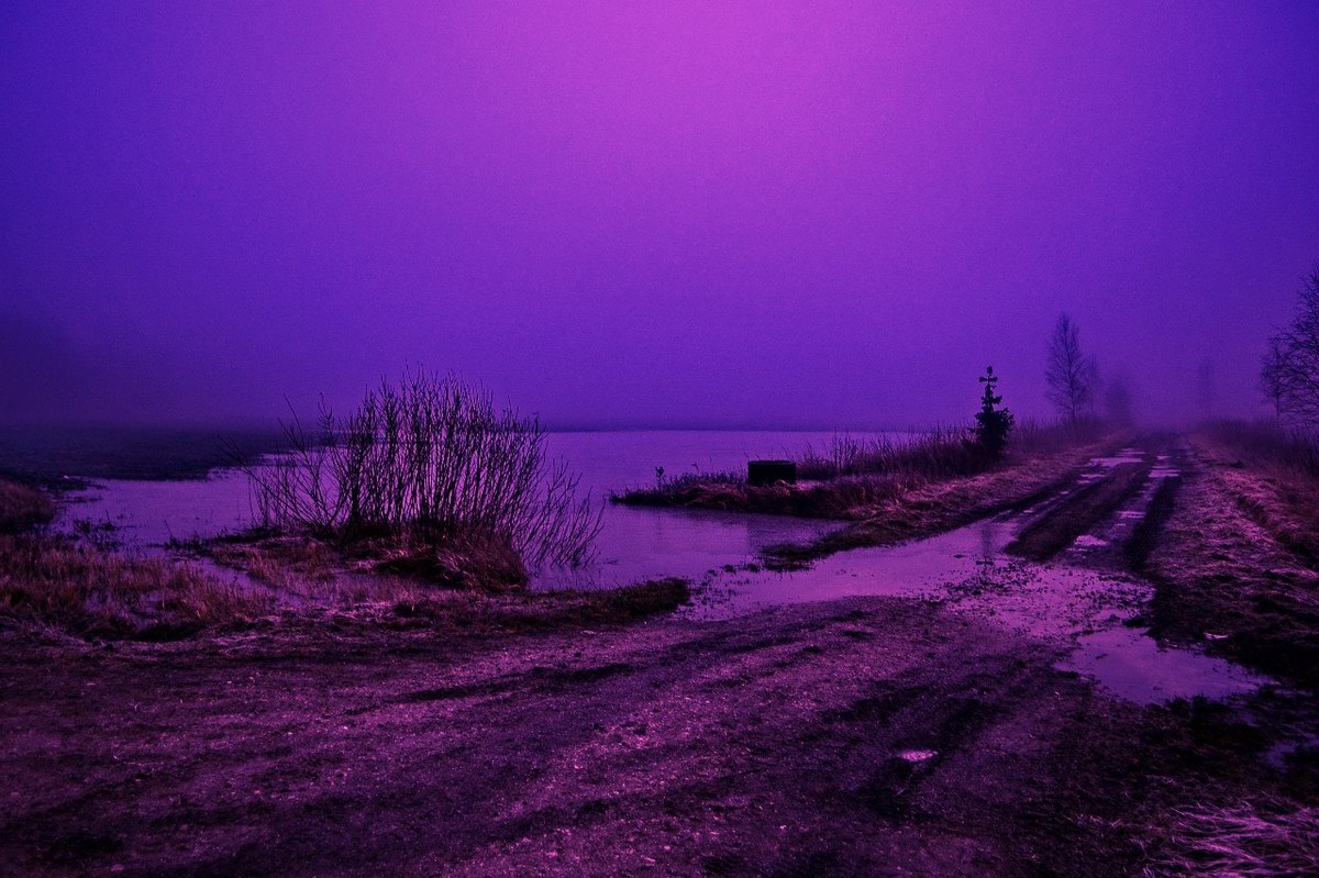  Фотографии от pixelzz. 