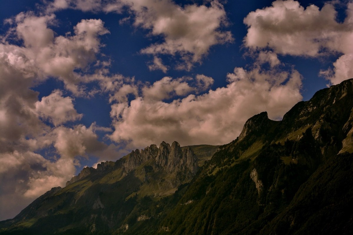  Фотографии от pixelzz. 