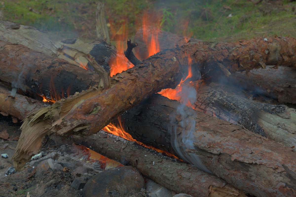 Костёр. Закрытие летнего сезона 2016, пляж.