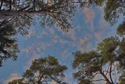 Закрытие летнего сезона 2016, пляж Матси (Matsi rand)