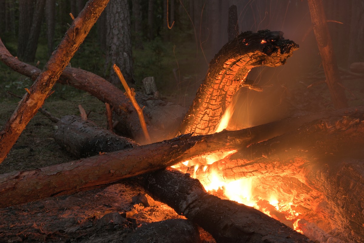 Ночью к нам прилетал дракон. Закрытие летнего сезона 2016, пляж.