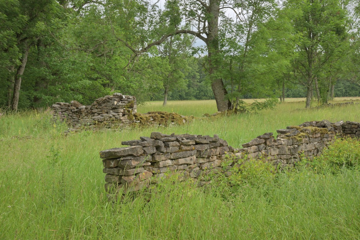 Остатки стены. Пикниковое место Soontagana.
