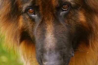 Фотографии от pixelzz