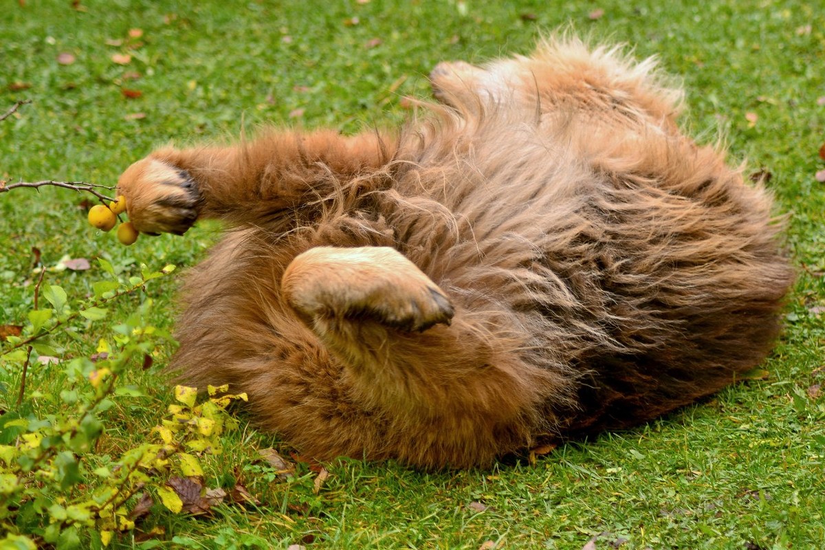  Фотографии от pixelzz. 