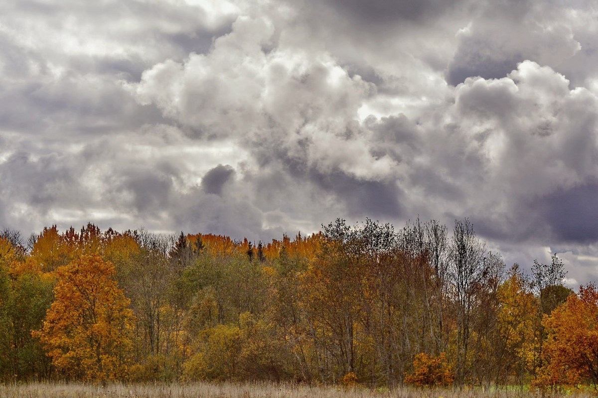  Фотографии от pixelzz. 