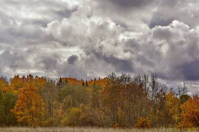 Фотографии от pixelzz