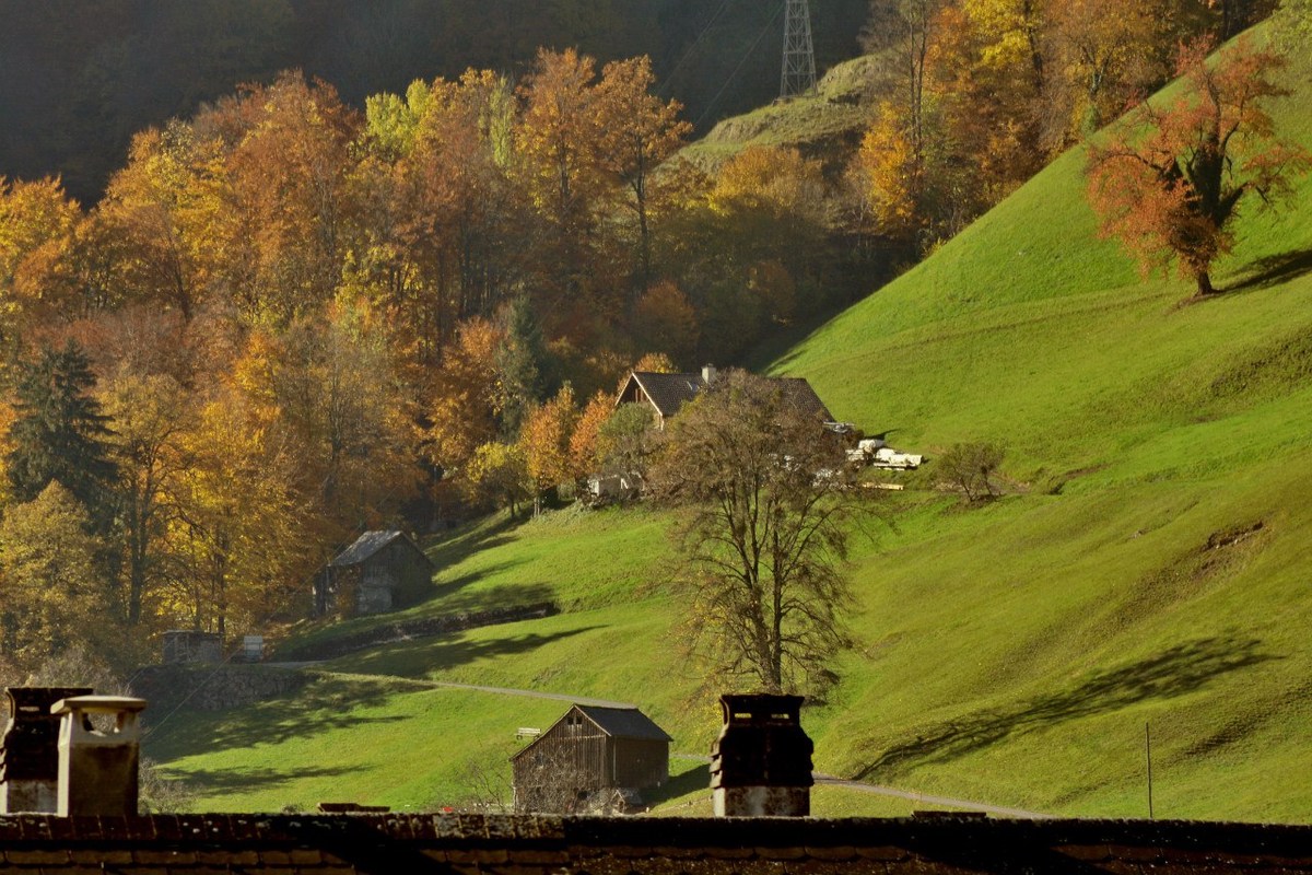  Фотографии от pixelzz. 