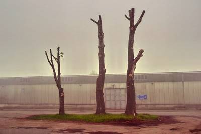 Фотографии от pixelzz