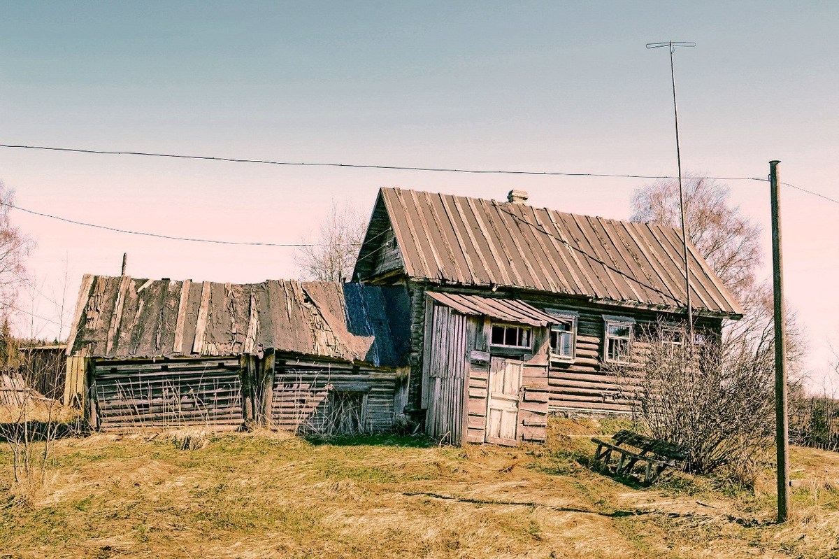  Фотографии от pixelzz. 